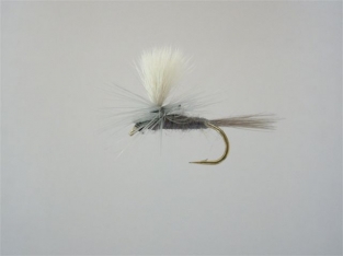 Size 12 Blue Dun Parachute